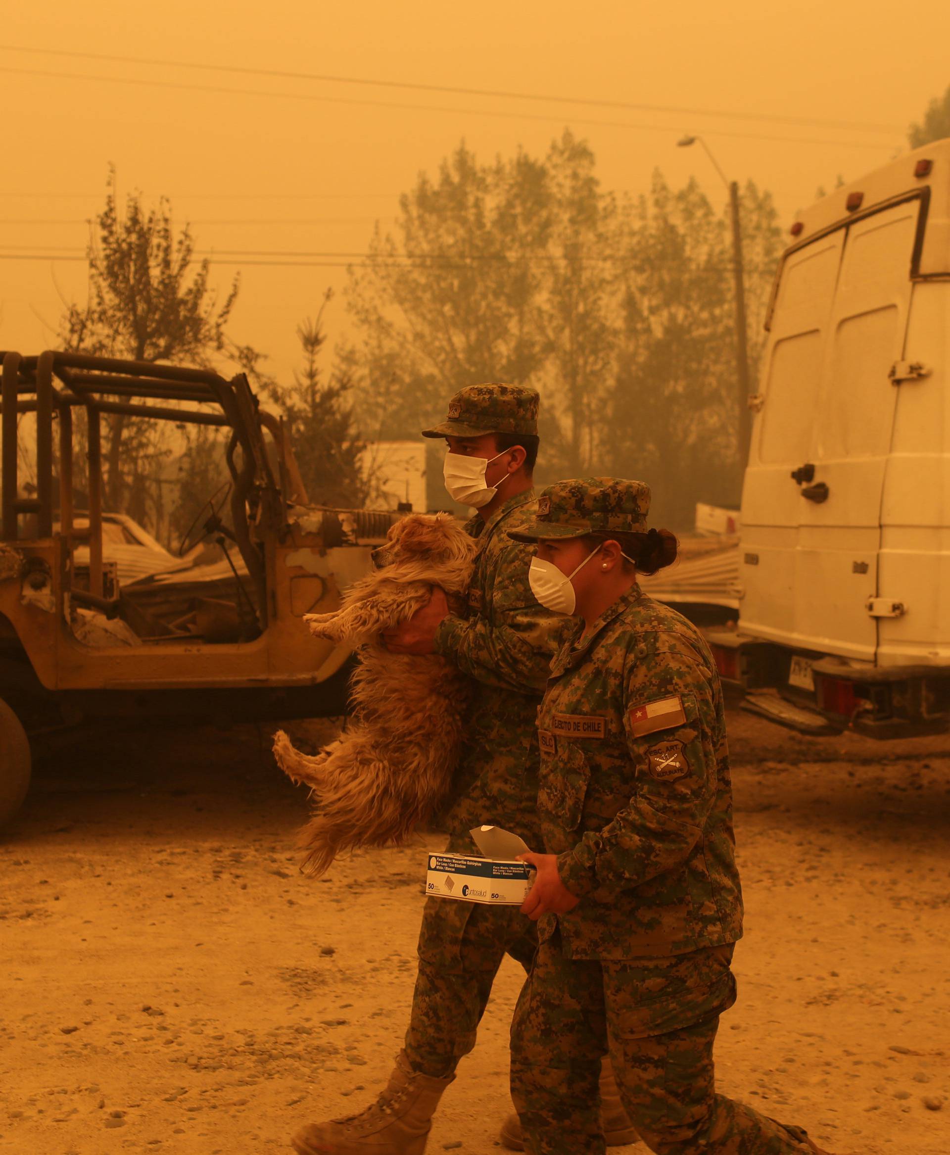 Soldiers carry a dog to safety during wildfires in Santa Olga