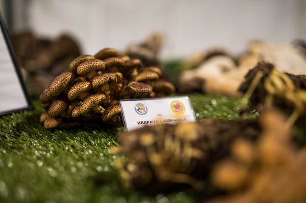 Održana 21. Bučijada i Sajam bučina ulja u Ivanić-Gradu