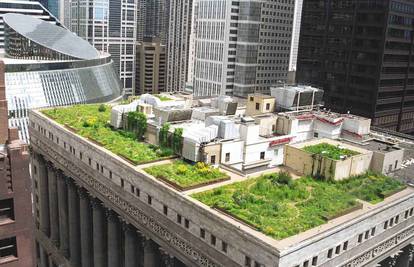 Zeleni krovovi čine simbiozu ekologije i arhitekture