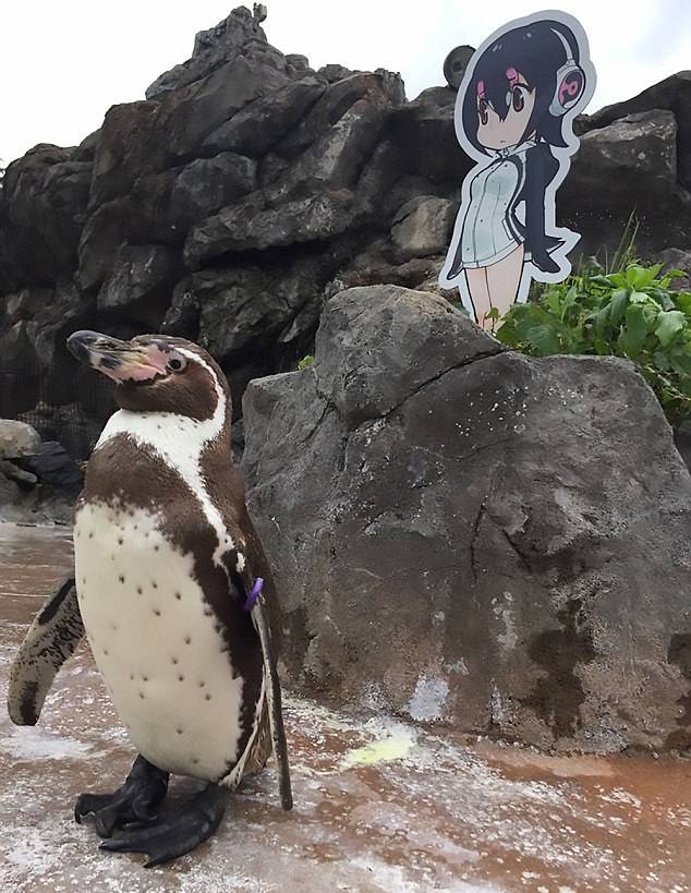 Zaljubljeni pingvin