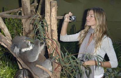 Gisele Bundchen uživala igrajući se s koalama