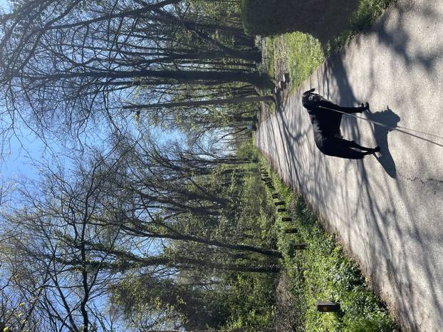 SUPER FOTKE vaših ljubimaca! Neki bi mogli biti viralni hit, ali svi su jednostavno neodoljivi