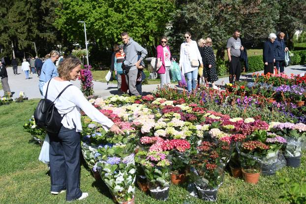 Daruvar: Sajam cvijeća, bilja i sadnica privukao mnogobrojne posjetitelje