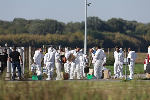 Sokolovac: Kreće eutanazija svinja, uvode se novi sigurnosni protokoli