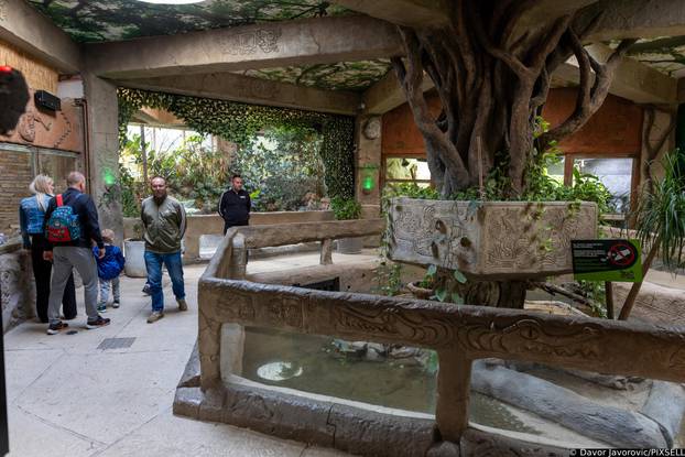 Osijek: Obilježavanje svijetskog dana gmazova u Zoološkom vrtu