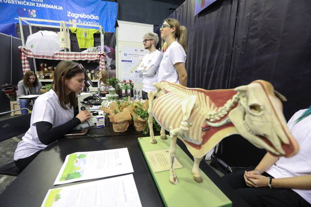 Zagreba?ki obrtni?ki sajam - sajam zanimanja 
