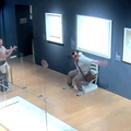 VIDEO A htjeli su dobru fotku. U muzeju slomili kristalnu stolicu pa se dali u bijeg: 'Noćna mora'