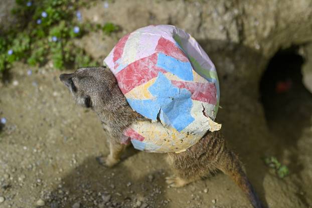 Zagreb: Podjela pisanica uz edukativni pogram za djecu u zoološkom vrtu
