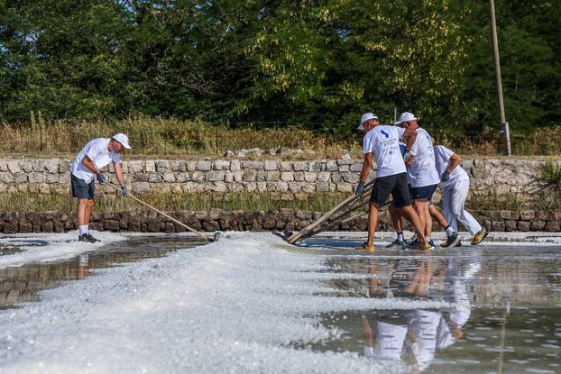 Berba soli u Stonskoj solani
