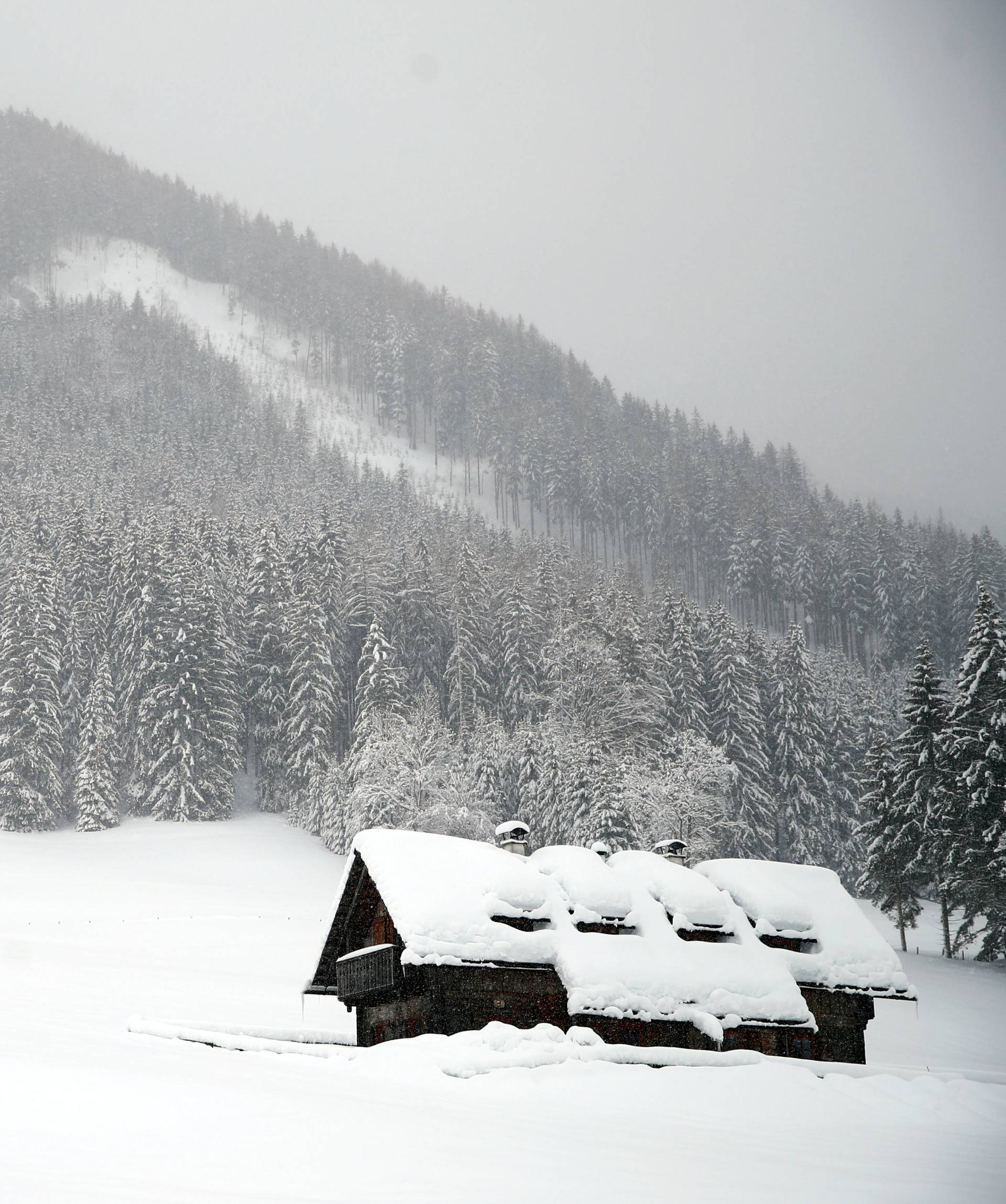 A house is seen during heavy snowfall in Goestling