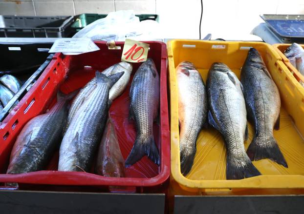 Šibenik: Ponuda ribe na šibenskoj ribarnici