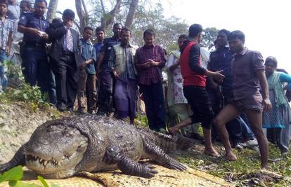 Uginuo je sveti krokodil (100): Pojeo previše žrtvovanih koza