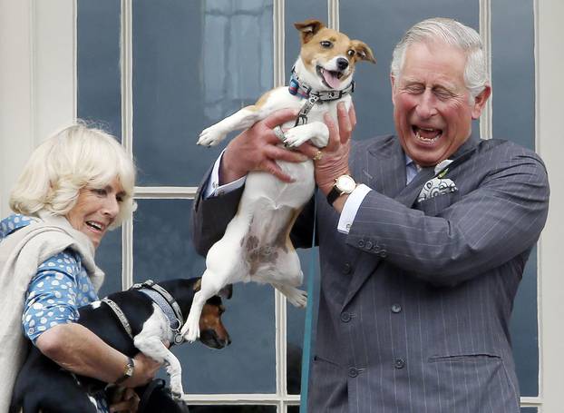 Queen Camilla's dog Beth dies