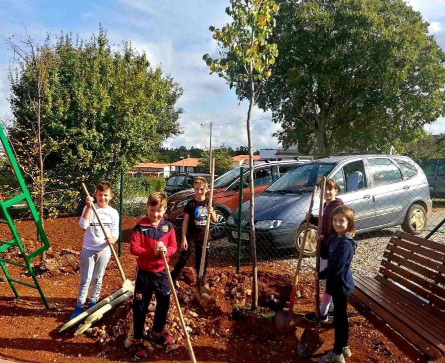 U Poreču zasađeno 600 stabala