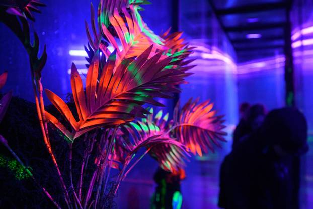 Zagreb: Zagrebački Festival svjetla 2026. 
