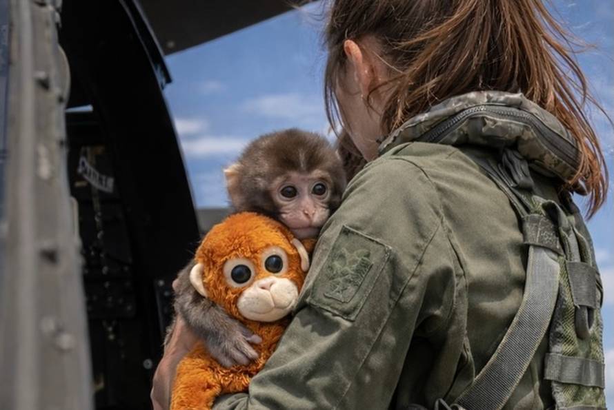 FOTO Majmunčića Puncha sjetila se i Hrvatska vojska! Pogledajte