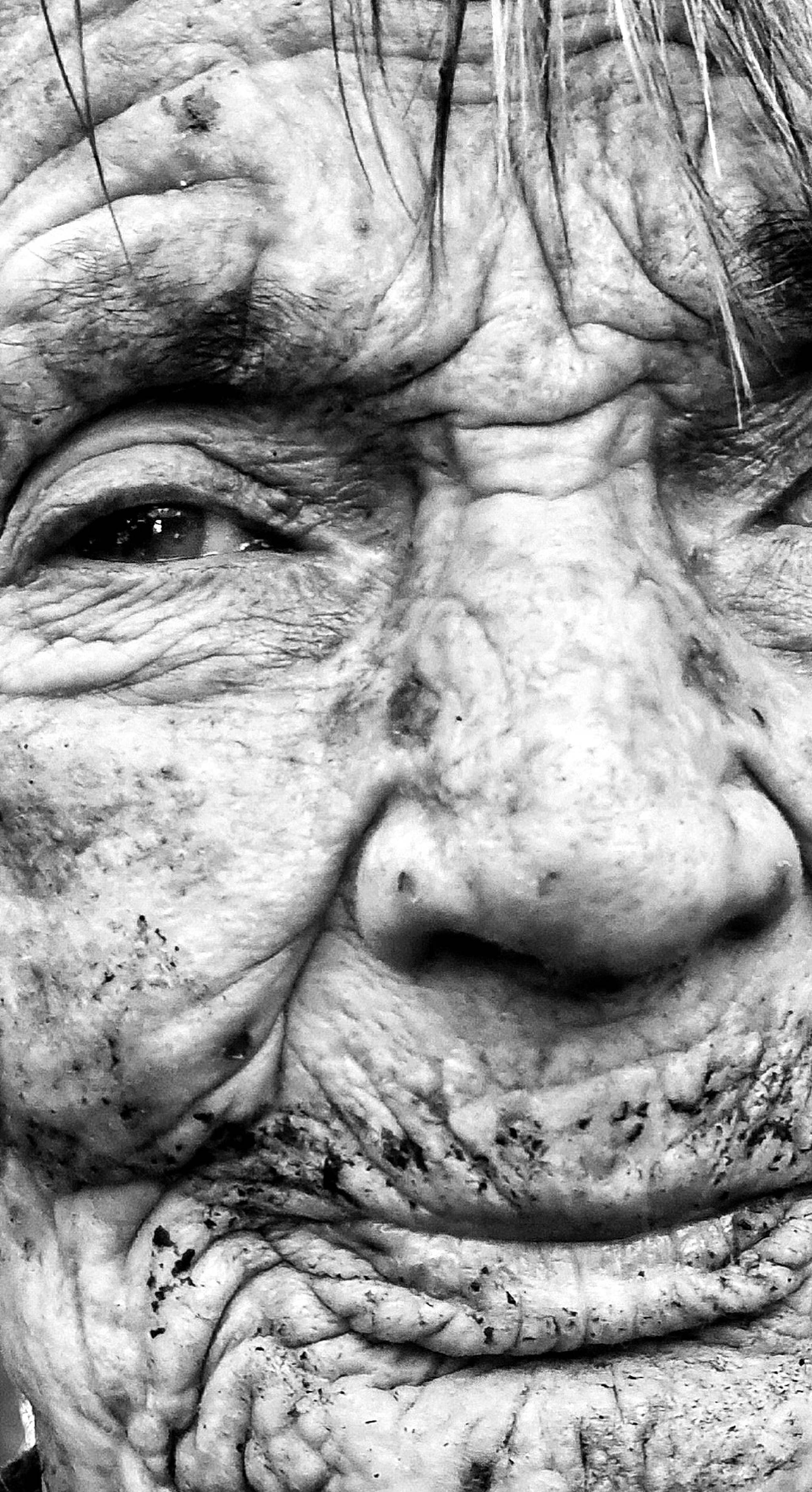 Baka Ljubica (83) izgubila bitku za život zbog siromaštva i sepse