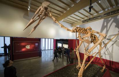 Pokazali 'Drakulu', najvećeg do sad pronađenog pterodaktila