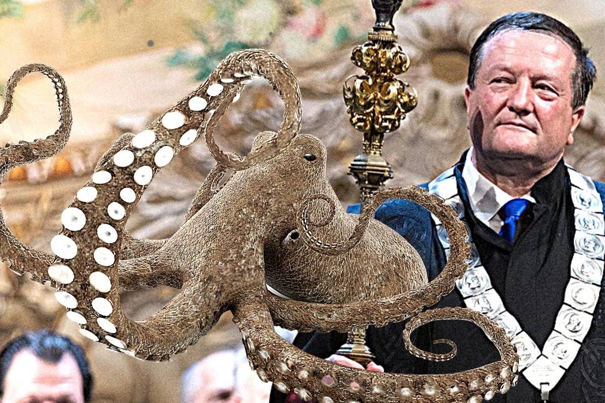 Rektor Damir Boras: Nemam hobotnicu na sveučilištu