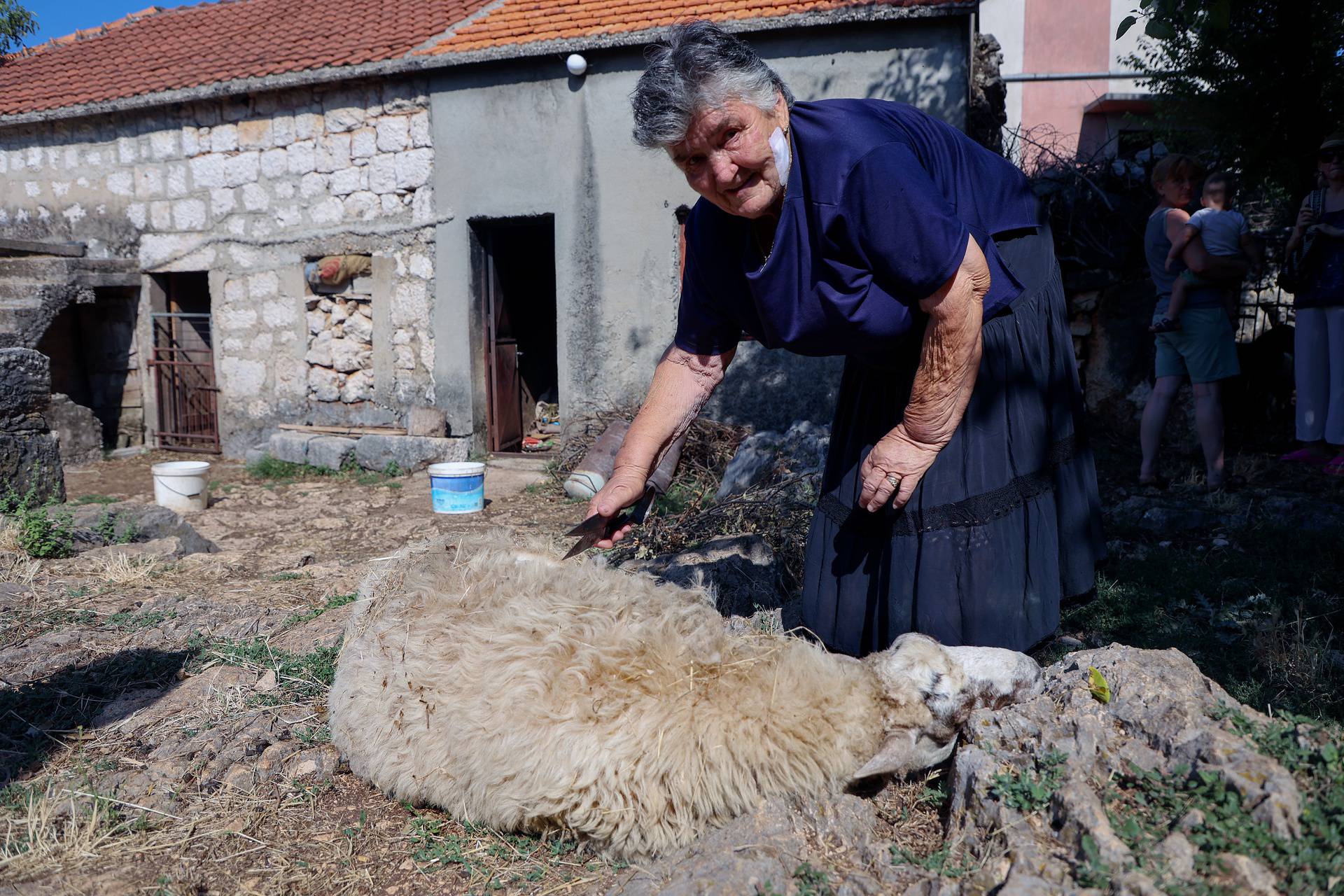 Baka Mara (77): Po starinski ovcu ošišam za nekoliko minuta