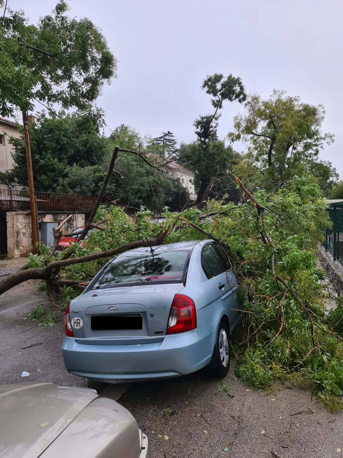 Udari vjetra lomili su grane na Marjanu, dio stabla pao na auto