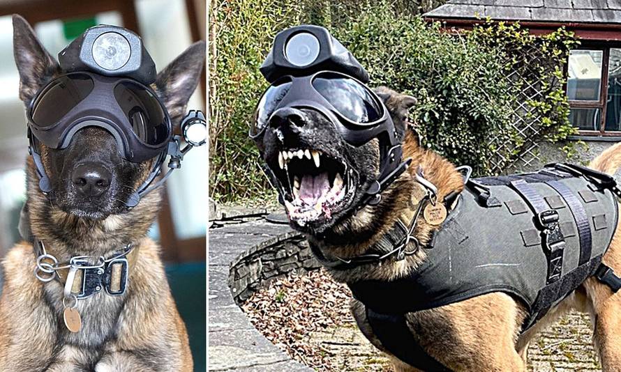 Pa vi probajte bježati...: Rex i ekipa se modernizirali, kamera na glavi lovit će kriminalce!