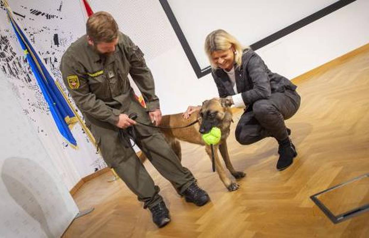 Austrija na aerodromu koristi pse da nanjuše Covid oboljele