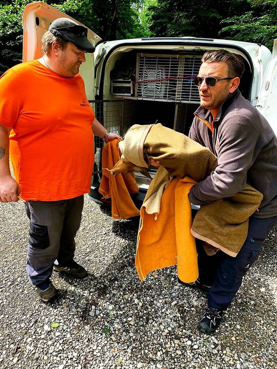 Srndaća udarili autom i ostavili kraj ceste u Zagrebu: 'Bio je u šoku, za njih je to jako opasno'