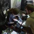 Ukrajinci su tetovažama iskazali ljubav prema svojoj domovini: Žele imati podsjetnik na rat...