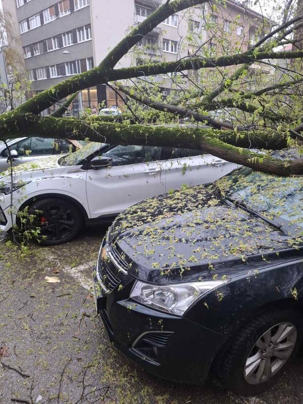 FOTO Apokalipsa u Zagrebu: Stabla drobila automobile, izdano novo upozorenje!