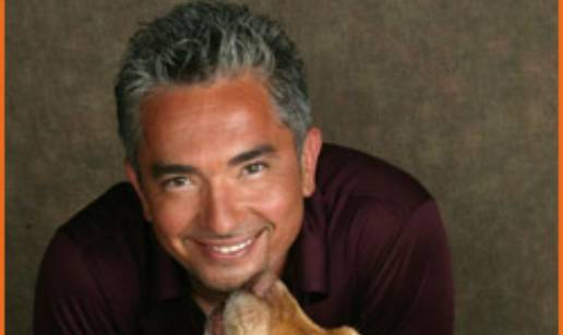 Cesar Millan na meti kritičara: Zavist ili opravdane kritike?