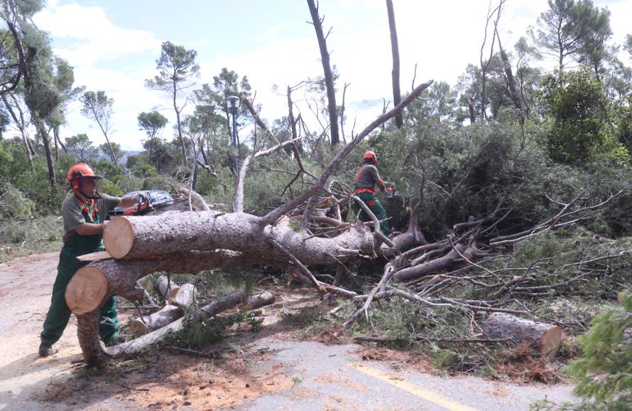 Posljedice velikog nevremena u Splitu, Marjan oštećen i zatvoren za građane