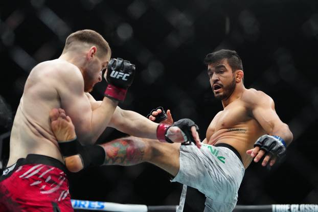 MMA: UFC 320 - Shahbazyan vs Muniz