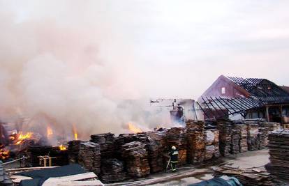 Požar progutao tvornicu, šteta od više milijuna eura