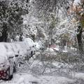 VIDEO Snježni kaos u Bugarskoj: Tisuću kuća ostalo je bez struje, zbog padalina zatvorili ceste
