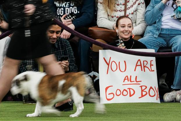 150th Annual Westminster Kennel Club Dog Show in New York City