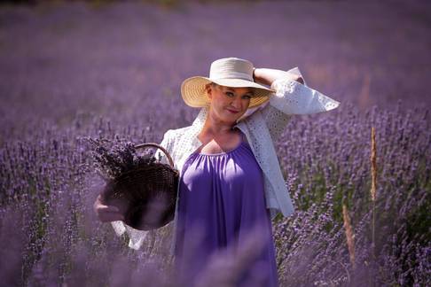 Polje lavande u Slavoniji