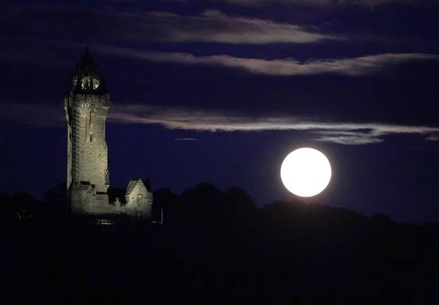 Blue Moon