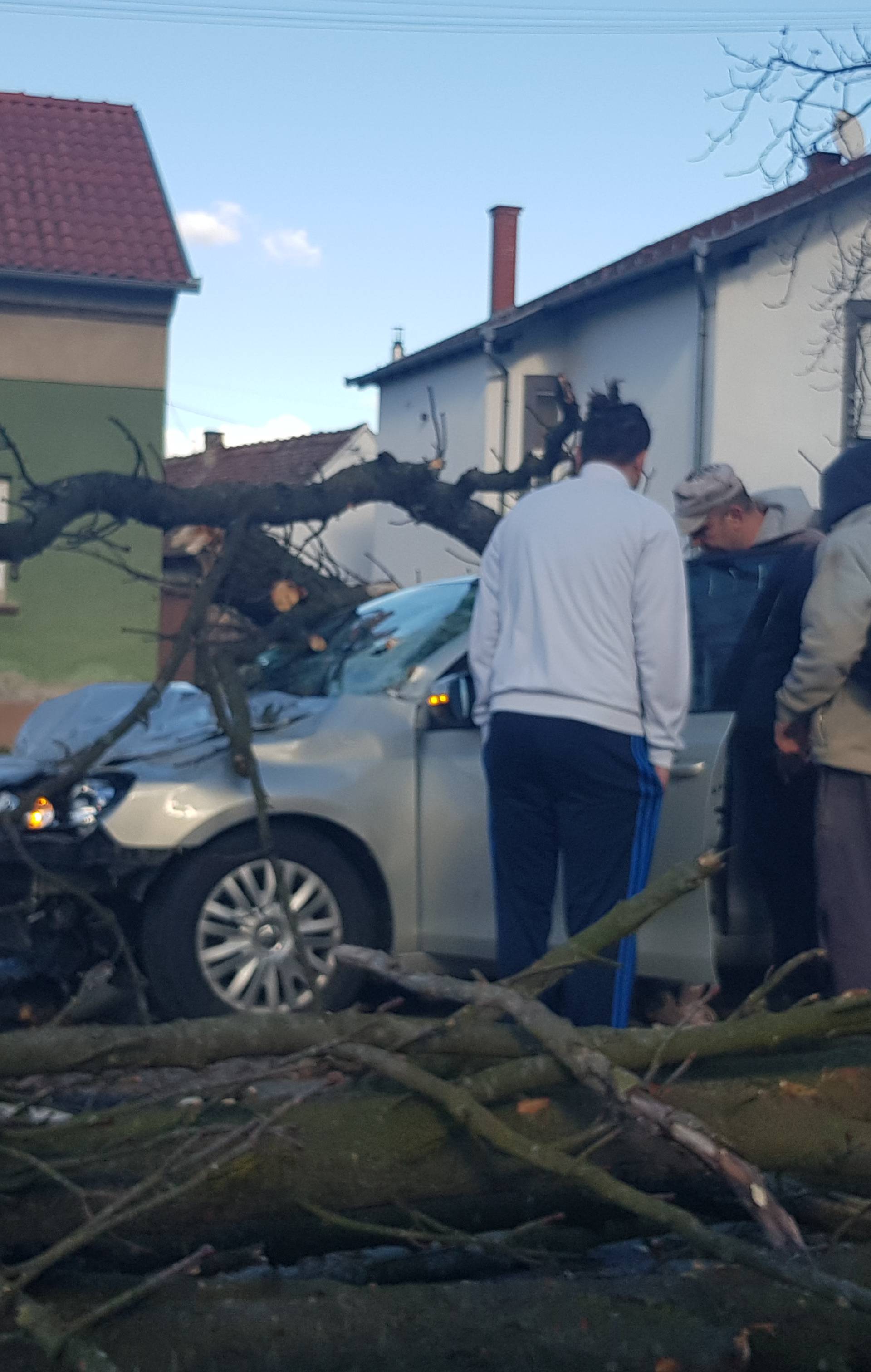 Stablo smrskalo auto u vožnji: Vozačicu spremaju za operaciju