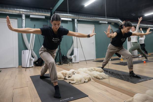 24SATA Paw Yoga, inovativni koncept joge koji je stigao u Hrvatsku