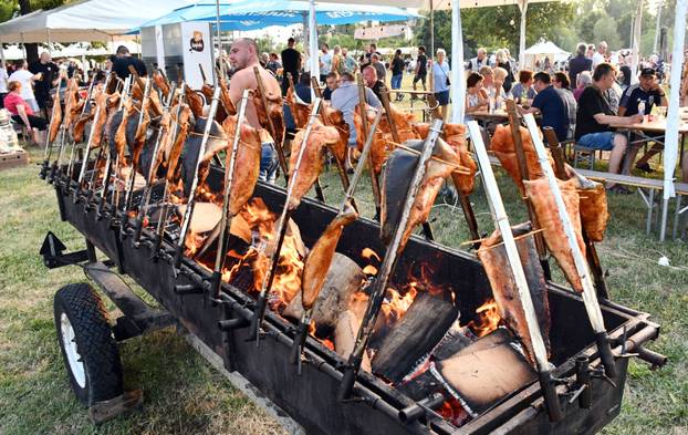 FOTO Otvoreno prvenstvo u kuhanju Fiša: Kotlovi i miris ribe preplavili Slavonski Brod