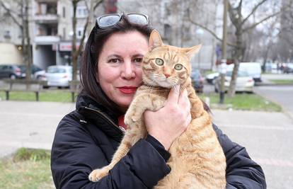 Mačak Pero umislio da je pas: Voli šetati parkom  - na uzici