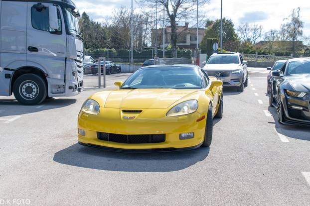 GALERIJA Kultni američki Mustanzi zablistali su u Rovinju