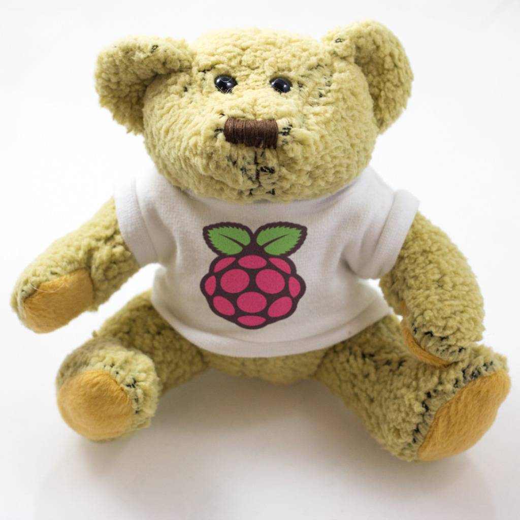 Raspberry PI