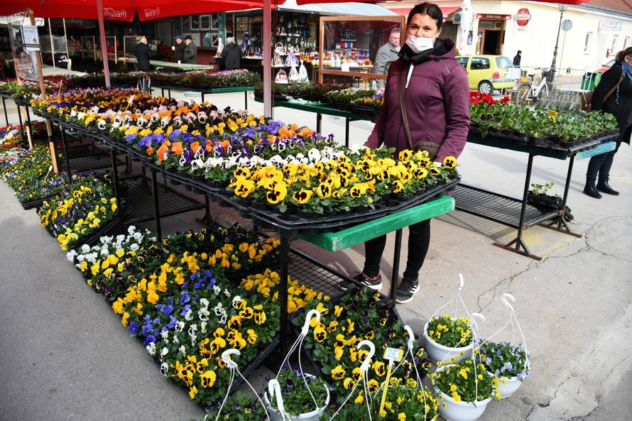 Obitelj Ivančić uzgaja cvijeće: 'Jaglace prodajemo po 5 kuna'