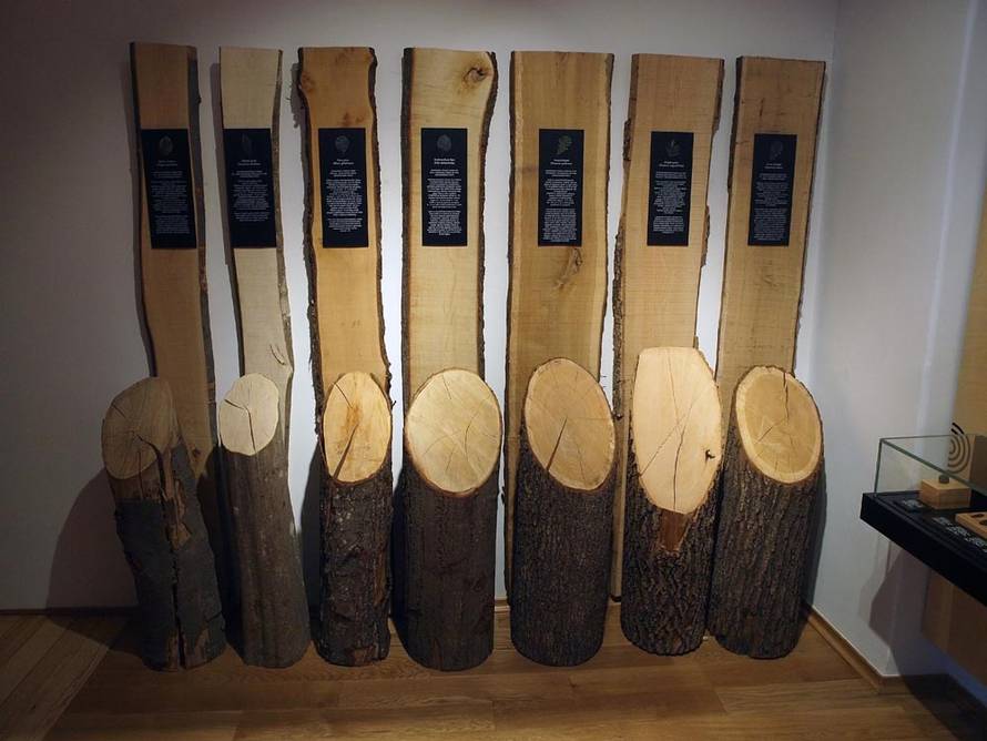 Jeste li čuli za Plemićku rutu? Uvući će vas u jednu posebnu priču o  Slavoniji i Podravini...