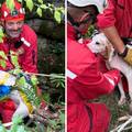 Nestašni pas upao je u jamu, spasio ga HGSS: 'Preplašio se'
