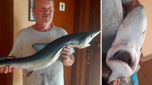 FOTO Ribolovac iz Labina ulovio morskog psa od sedam kila: Ugledao sam ga i uplašio se
