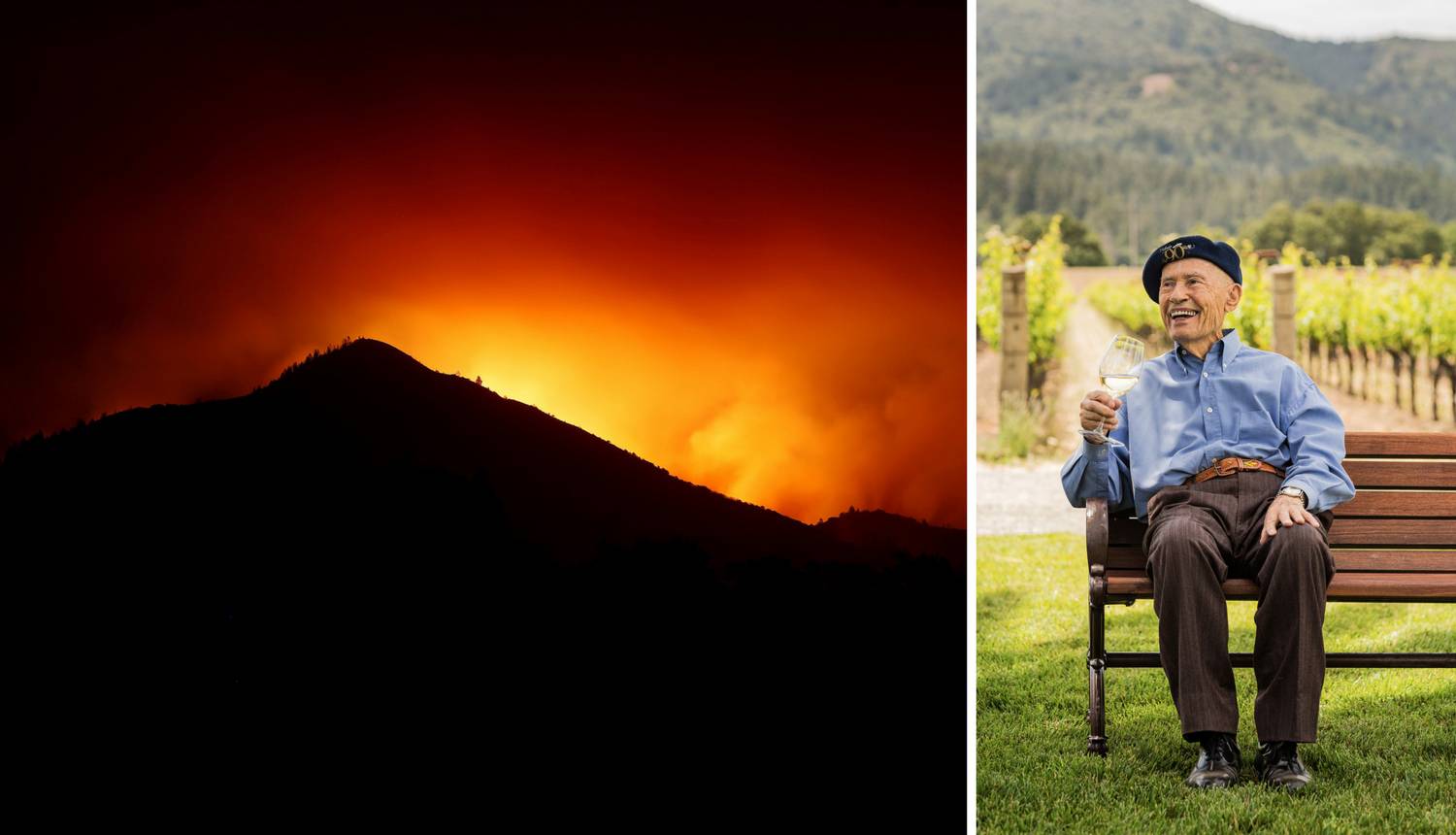 Grgić s imanja spašavao vina, vatra ga je srećom mimoišla