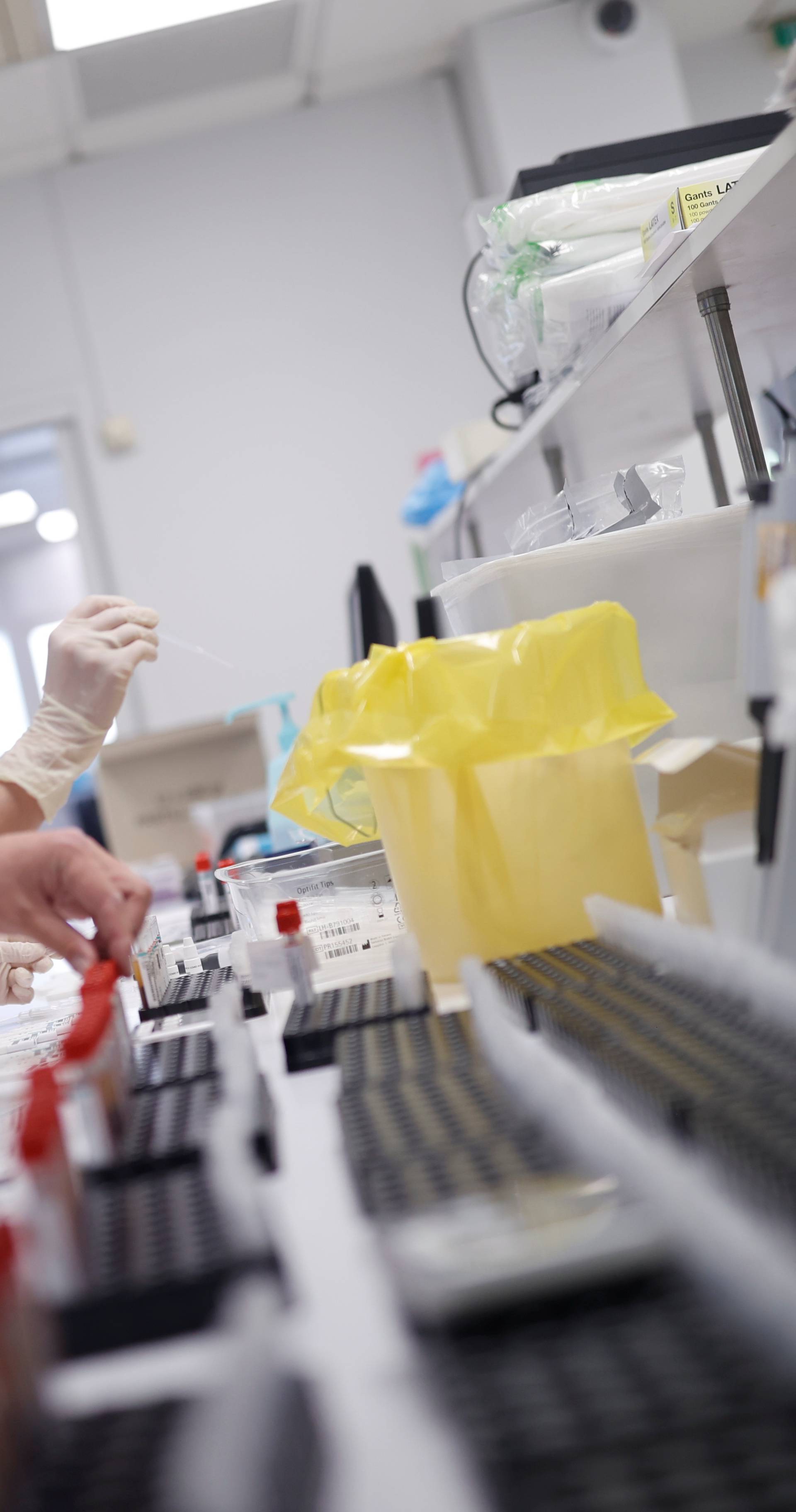 Laboratory staff work on blood samples for coronavirus disease tests in Colmar